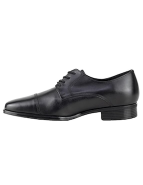 Zapato oxford Gino Cherruti para hombre