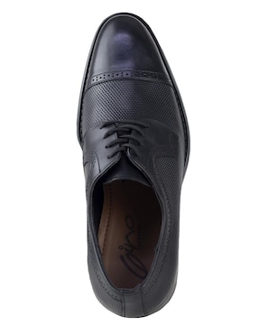 Zapato oxford Gino Cherruti para hombre