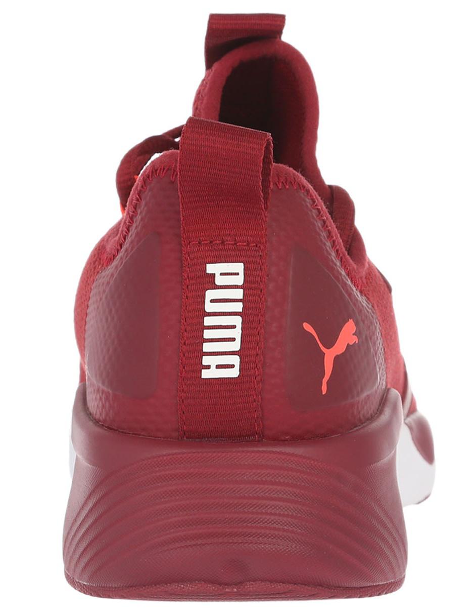 puma rojo